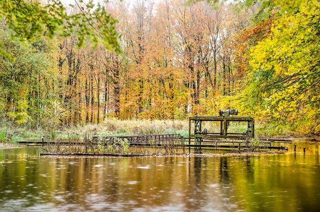 Waterloopbos