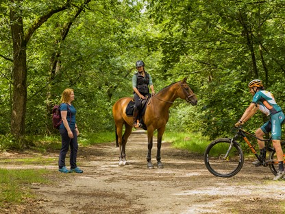 afbeelding van een wandelaar, ruiter en mountainbiker in het bos.