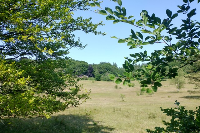 doorkijkje tussen de bomen naar de vallei.