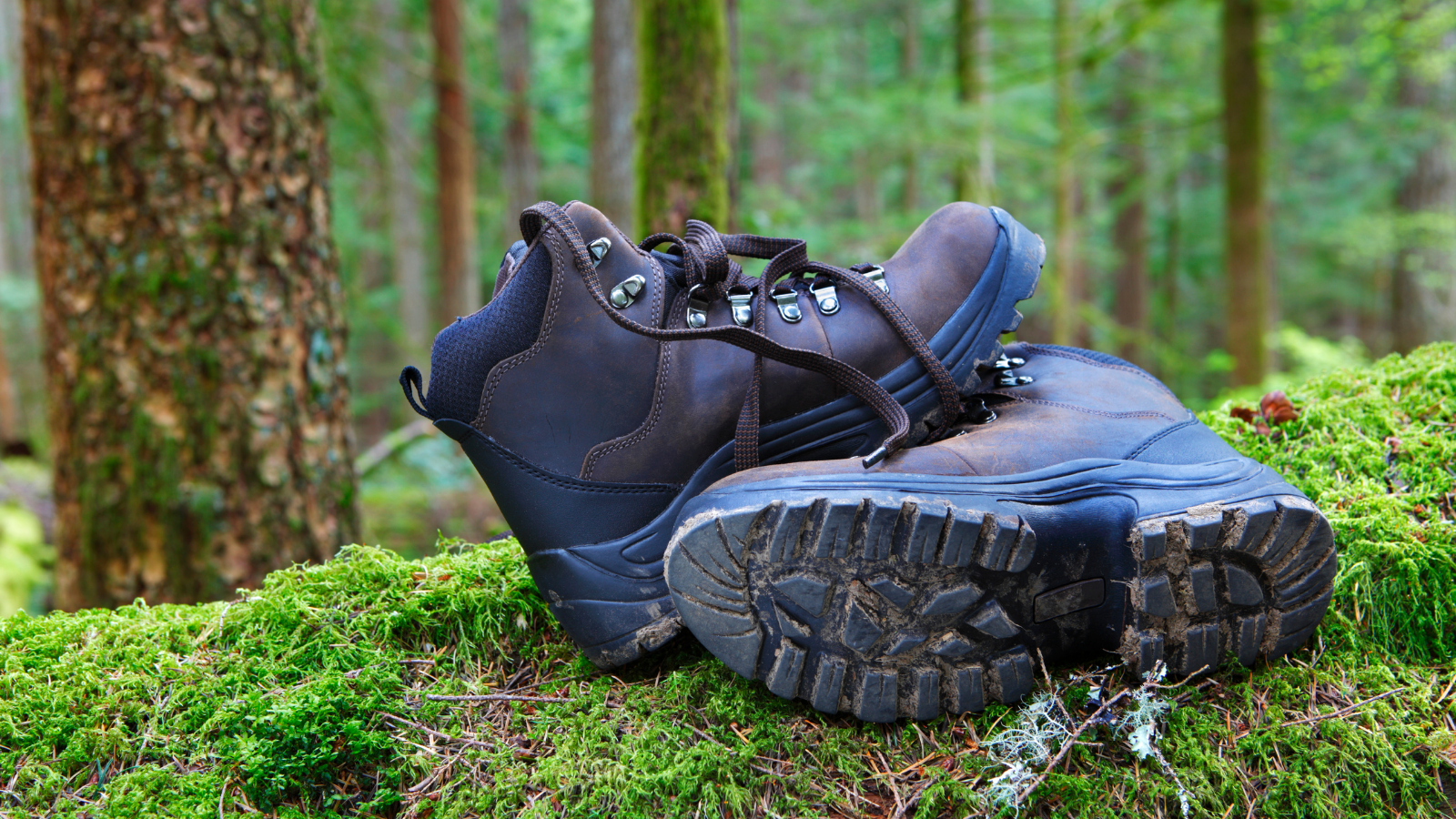 De bever wandelschoenen sales