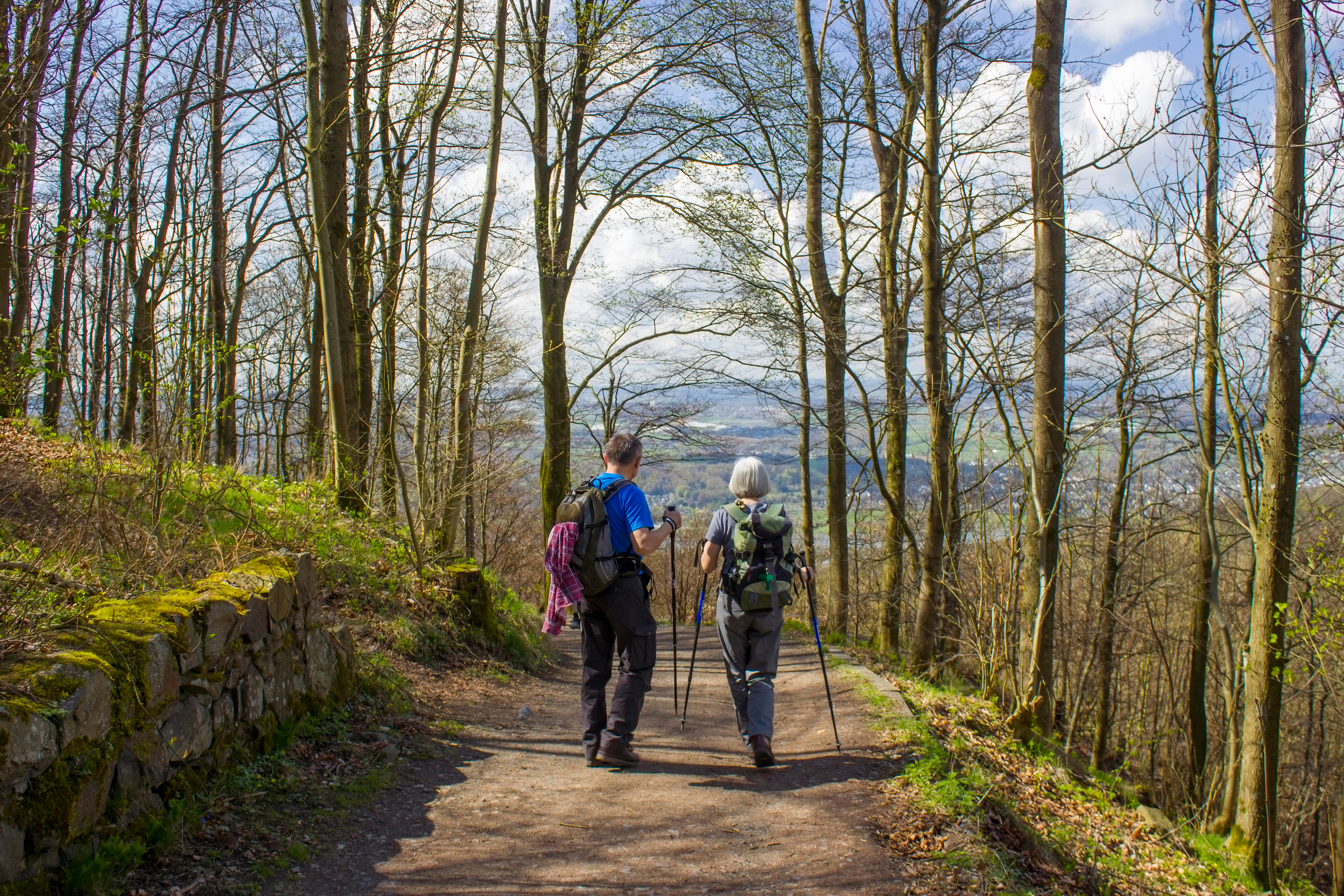 Het Zevengebergte (Siebengebirge) in Duitsland
