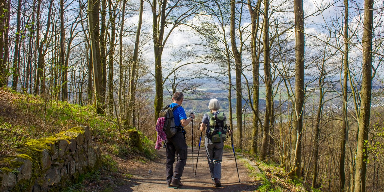 Het Zevengebergte (Siebengebirge) in Duitsland