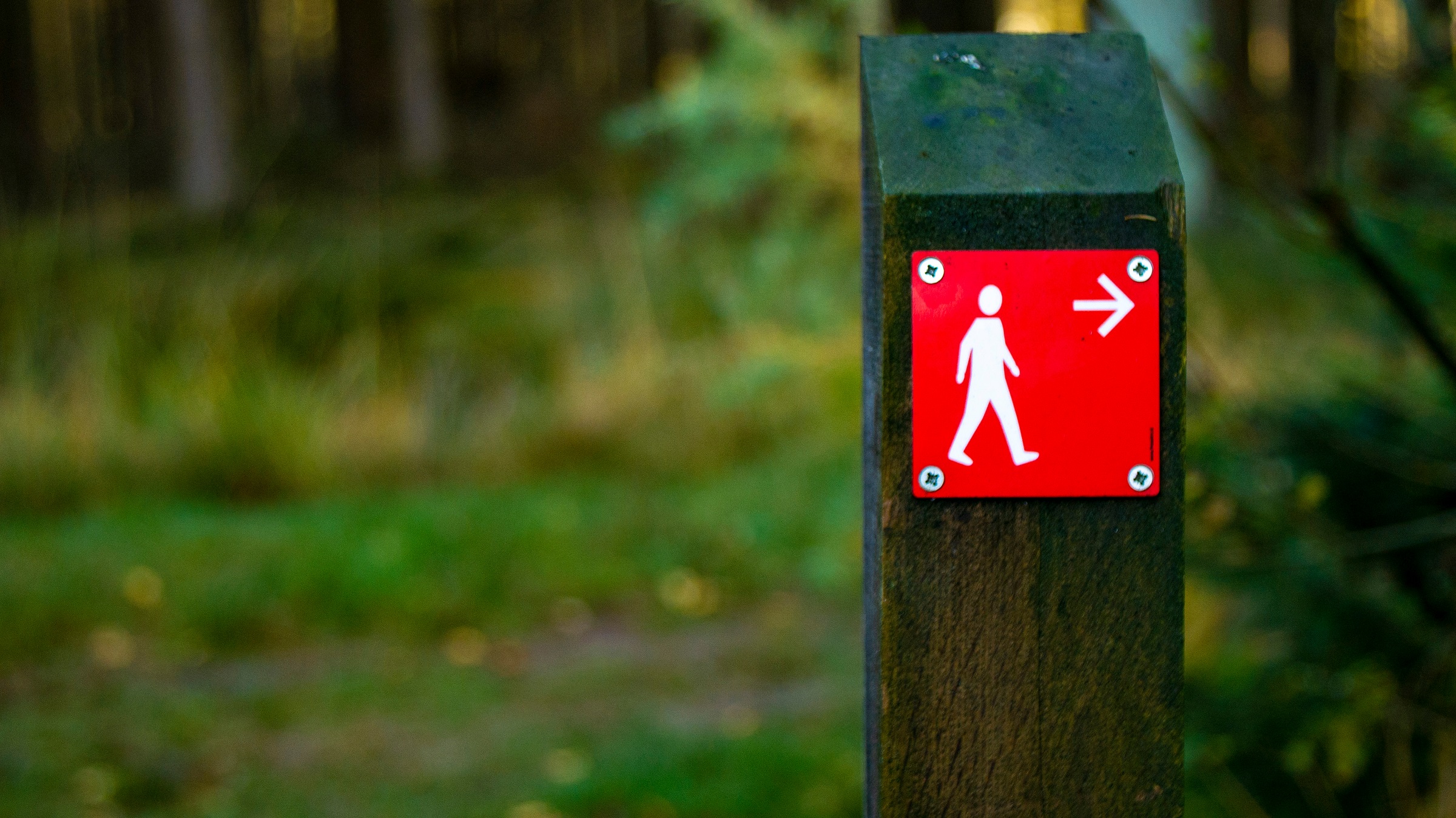 Wandelroute paaltje in het bos
