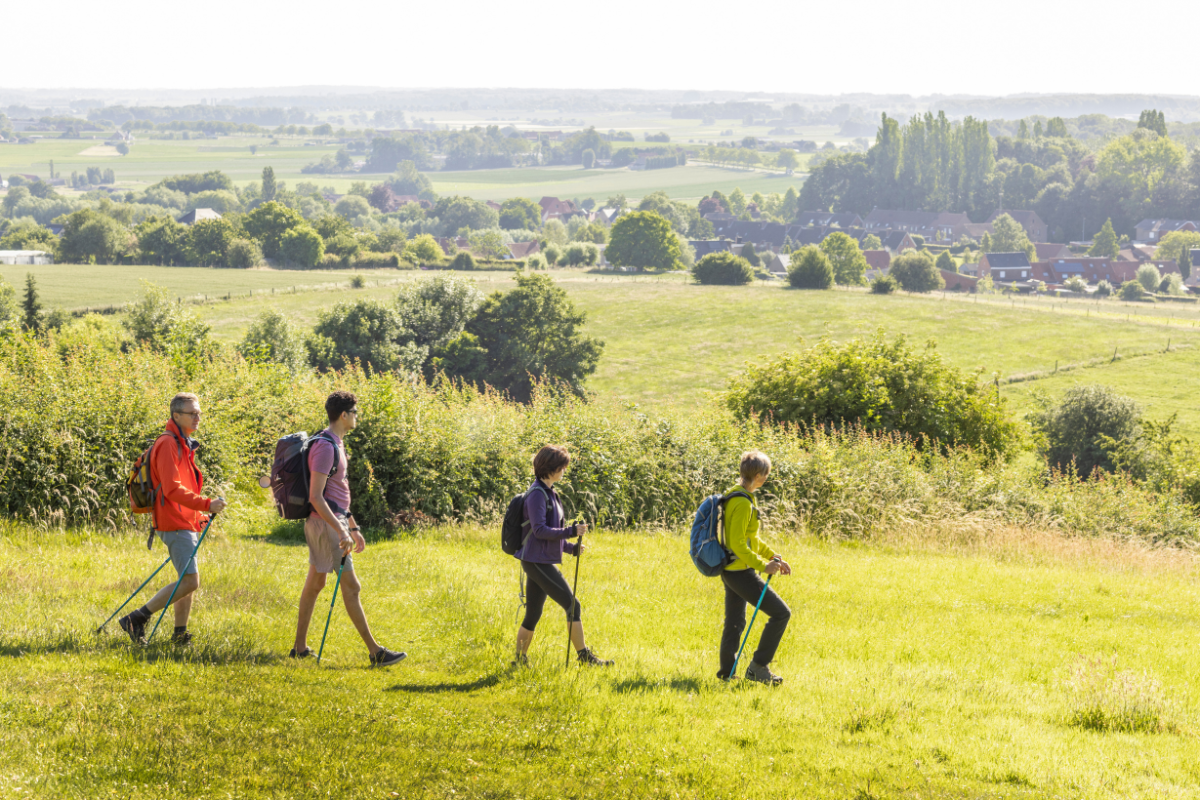 Wandelen In De Westhoek (4)