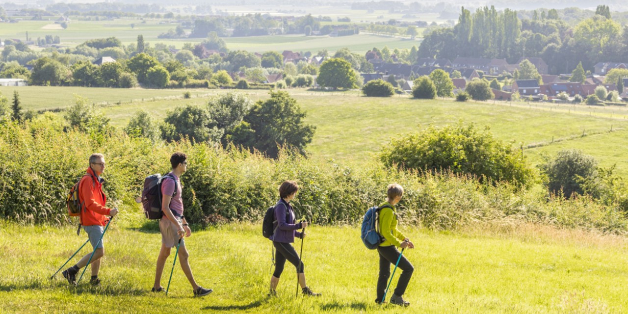 Wandelen In De Westhoek (4)
