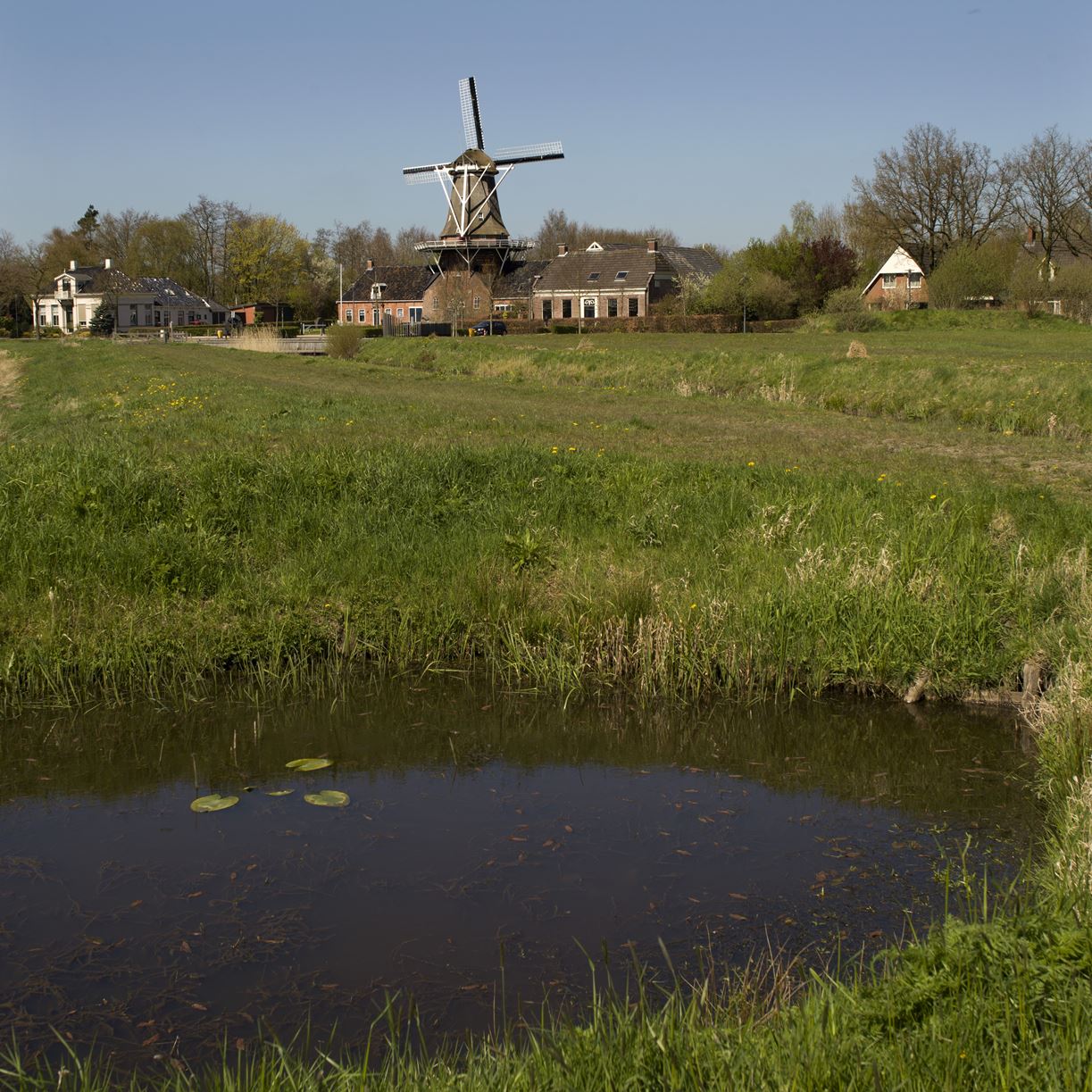 Header | Ontdek nieuwe natte natuur langs wandelroute in Drenthe