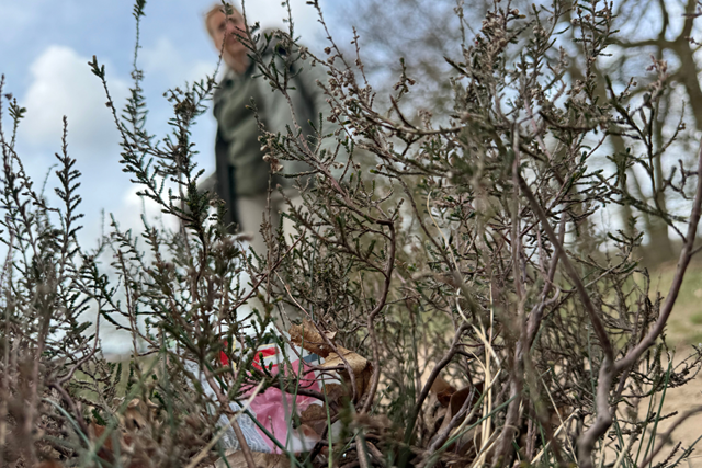 Plandelman Ontmoet De Boswachter Met Lippenstift; plastic natuur