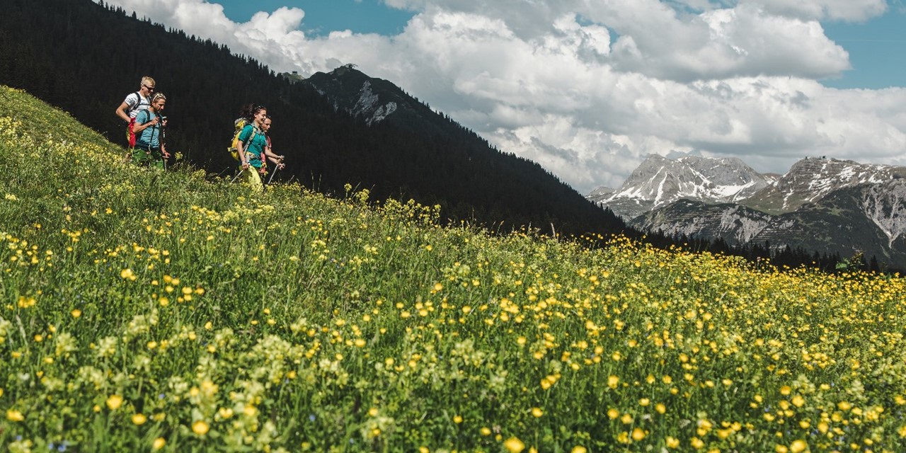Mensen wandelen in de bergen tussen zonnebloemen - Foto: Christoph Schoech / Lech Zuers Tourismus
