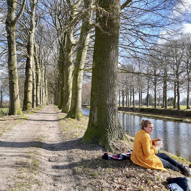 Wandelen over de Sallandse Heuvelrug tijdens het Pieterpad