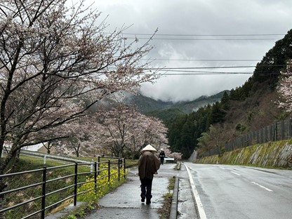 Pelgrimeren in Japan: de 88-tempelroute op Shikoku