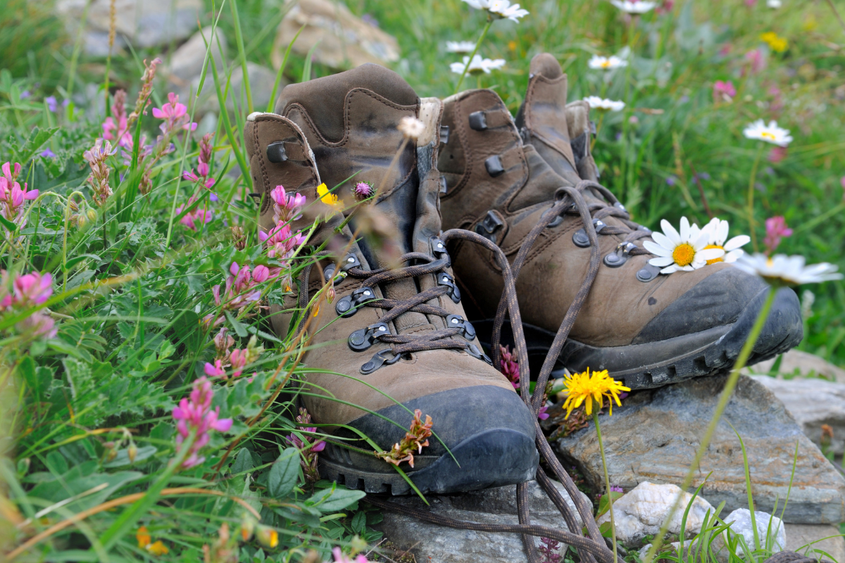 Beste wandelschoenen dames hier moet je op letten - Wandel