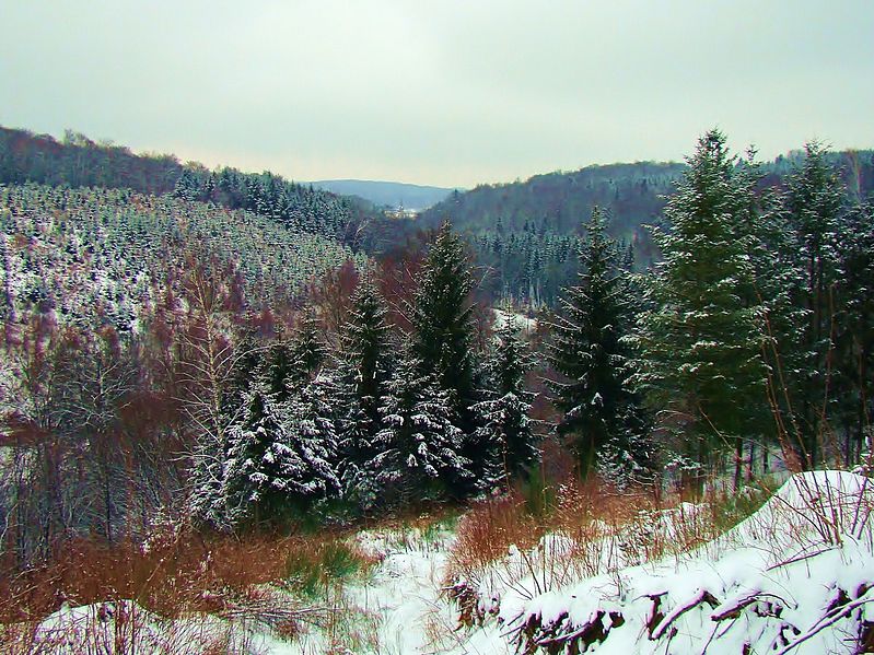 De omgeving van Arlon, foto: Wikimedia