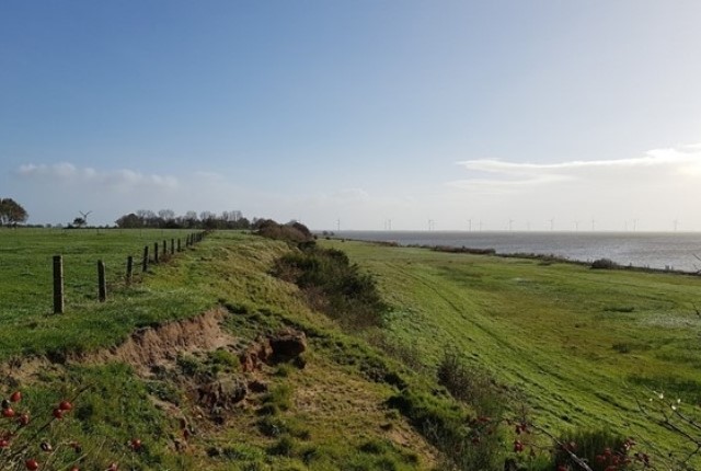 Uitzicht over de glooiende natuur van Gaasterland