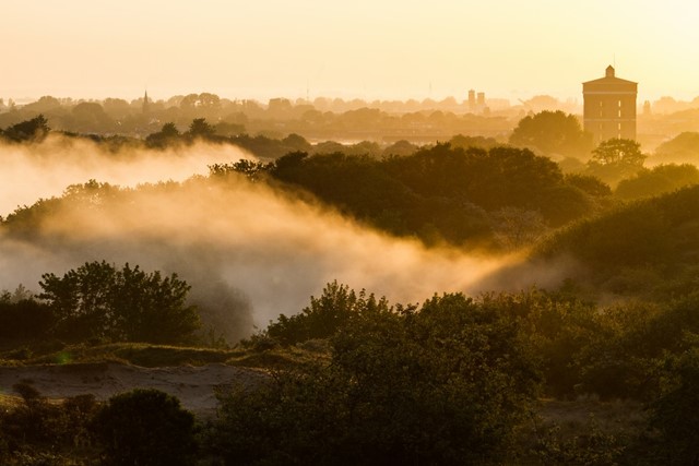 afbeelding van de watertoren in Katwijk in een goudgekleurd landschap met mist.
