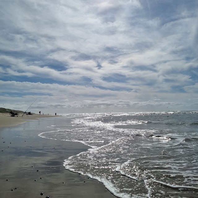 Wandelen langs de Waddenzee tijdens het Waddenpad