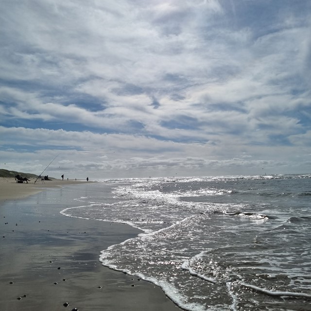 afbeelding van het strand op Texel.