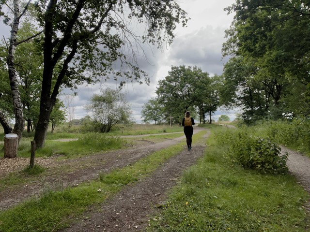 De Regte Heide Simone