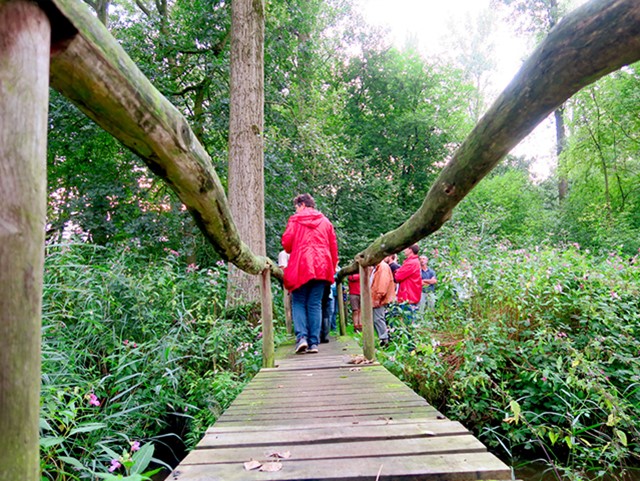 Top 8 Mooiste Wandelingen In Grensland De Baronie 1