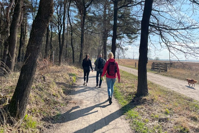 Elke maand een andere wandeltocht 5 tips; Krentenbloesemwandeltocht Dwingeloo