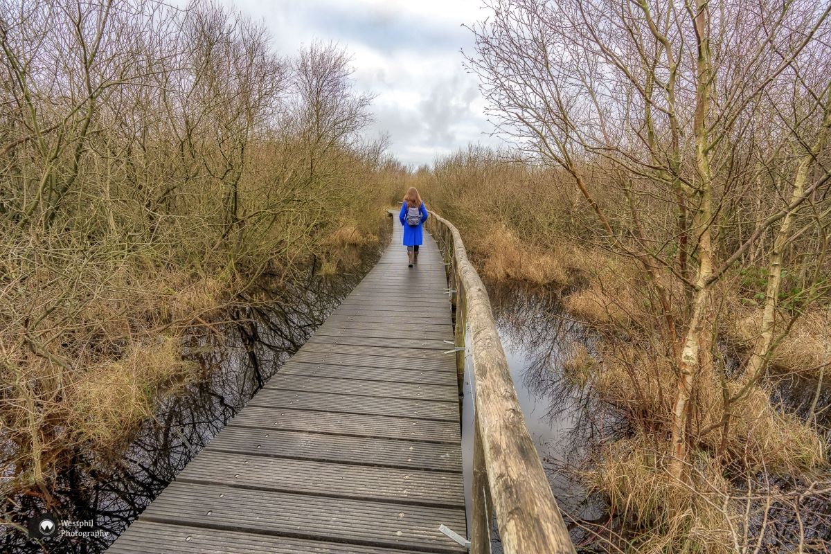 Al Wandelend Noord Holland Ontdekken: Wandeling vlonder