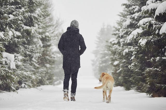 Wandelaar met hond in de sneeuw