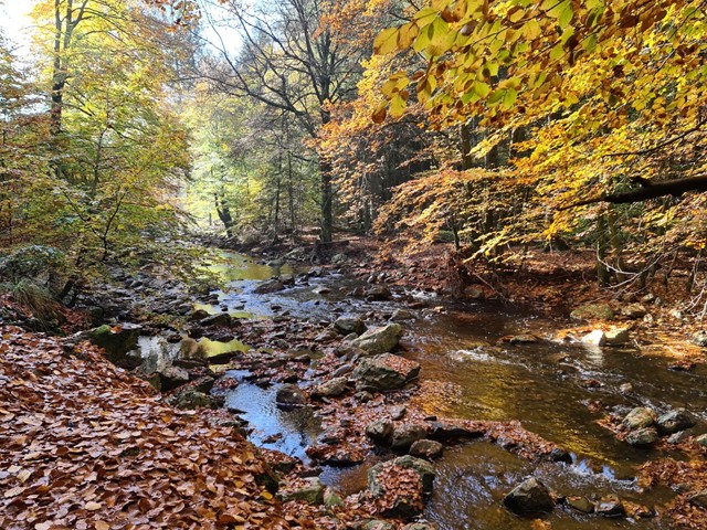 Natuurcentrum Haus Ternell