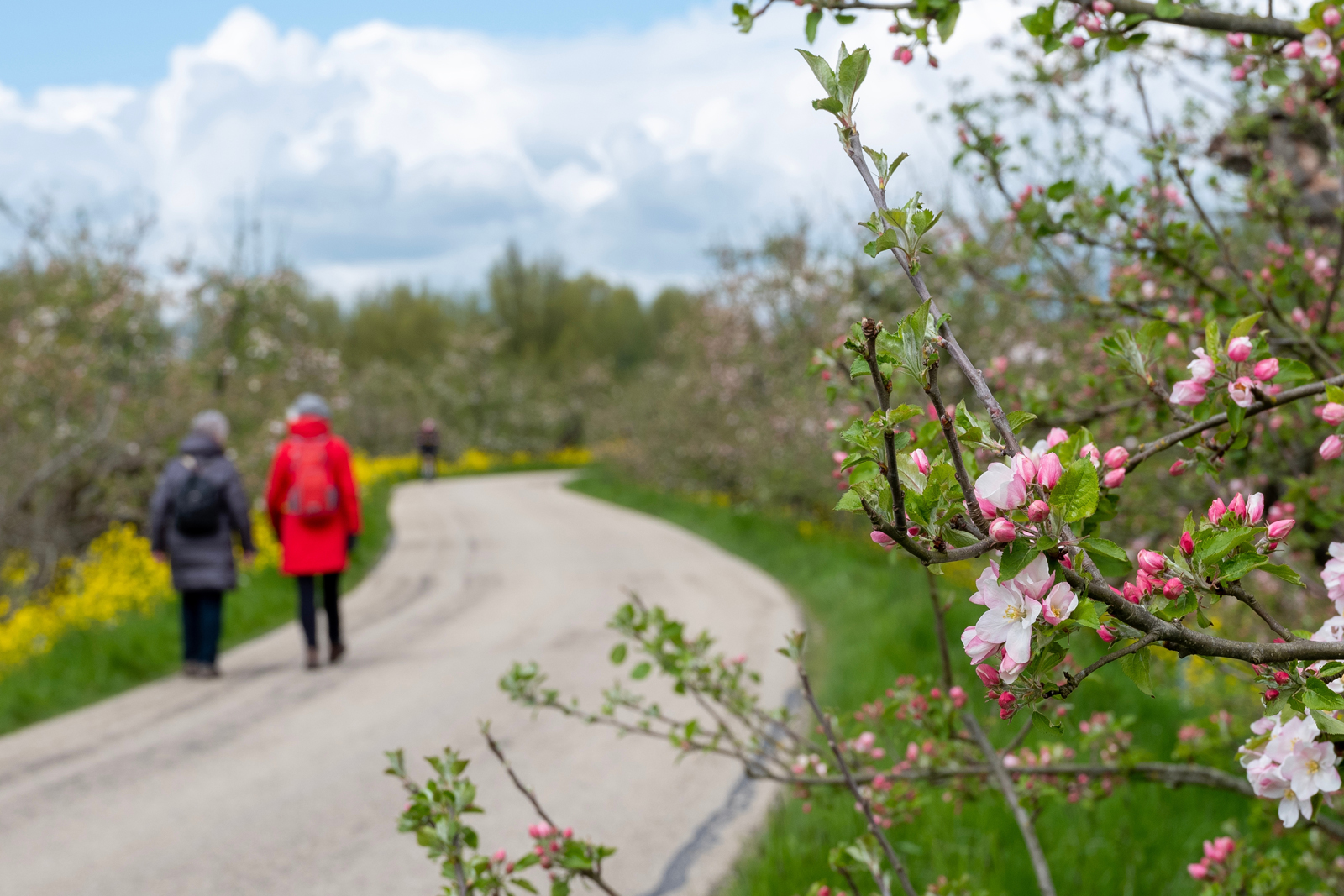 Links of rechts: aan welke kant van de weg kun je het beste lopen?; links lopen op de dijk.