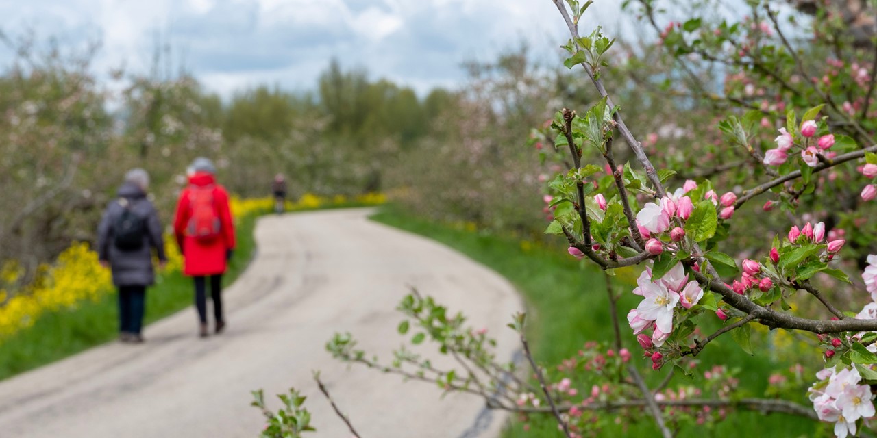 Links of rechts: aan welke kant van de weg kun je het beste lopen?; links lopen op de dijk.