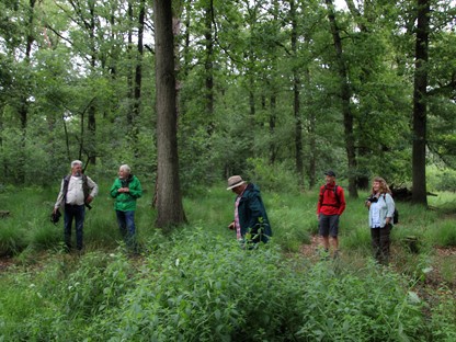 afbeelding van een groepje wandelaars met een boswachter in het bos.
