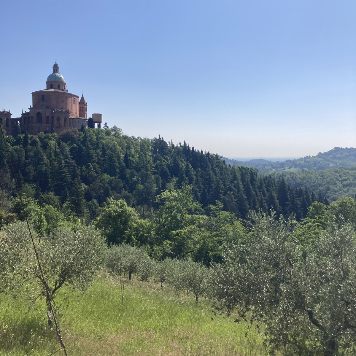 Afbeelding van het uitzicht bij San Luca