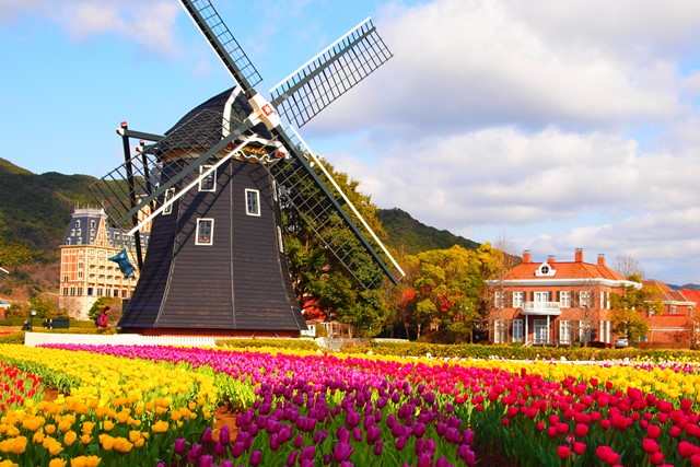 afbeelding van een molen en tulpenveld in Huis ten Bosch In Nagasaki