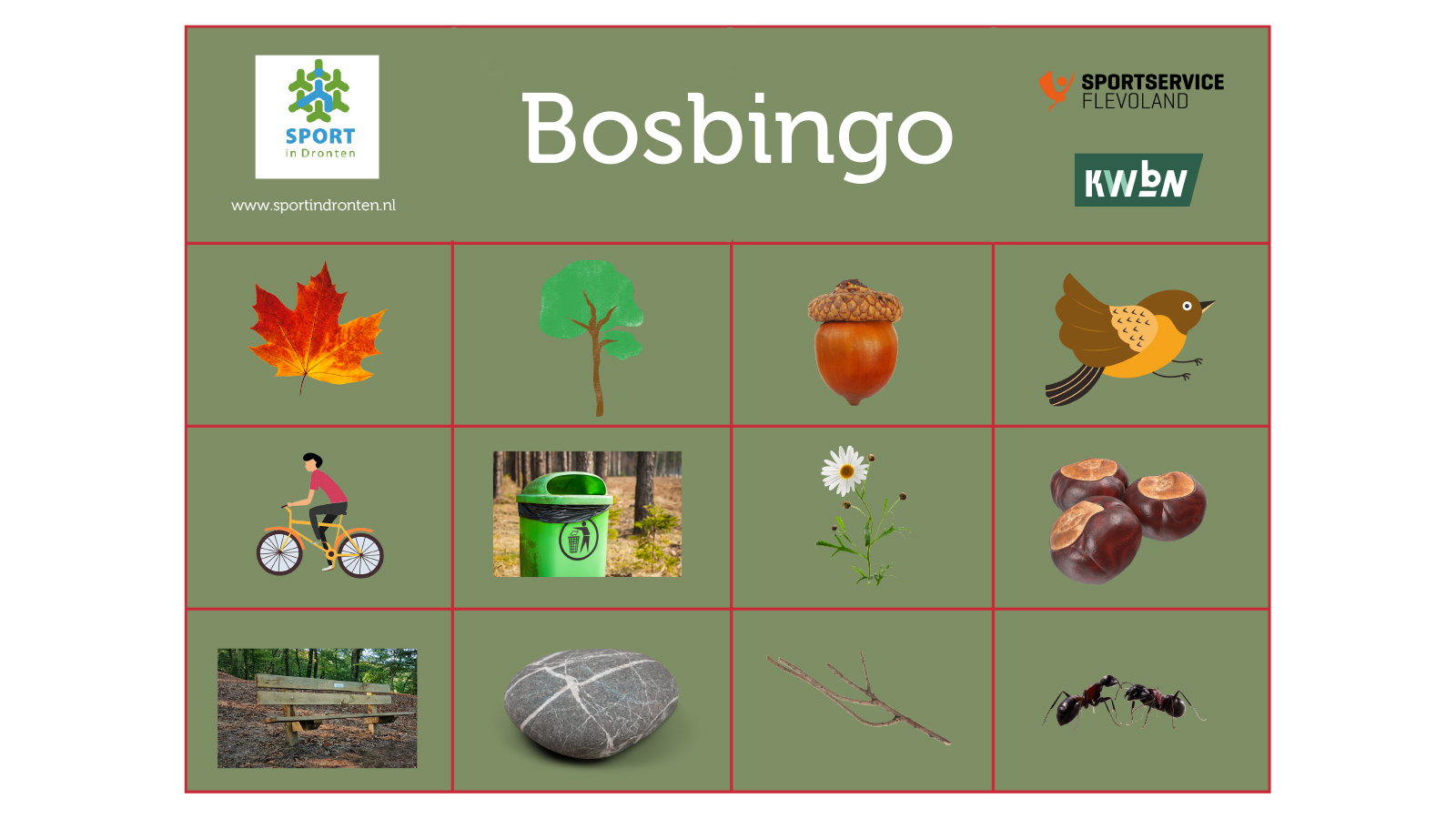 Afbeelding Bosbingo