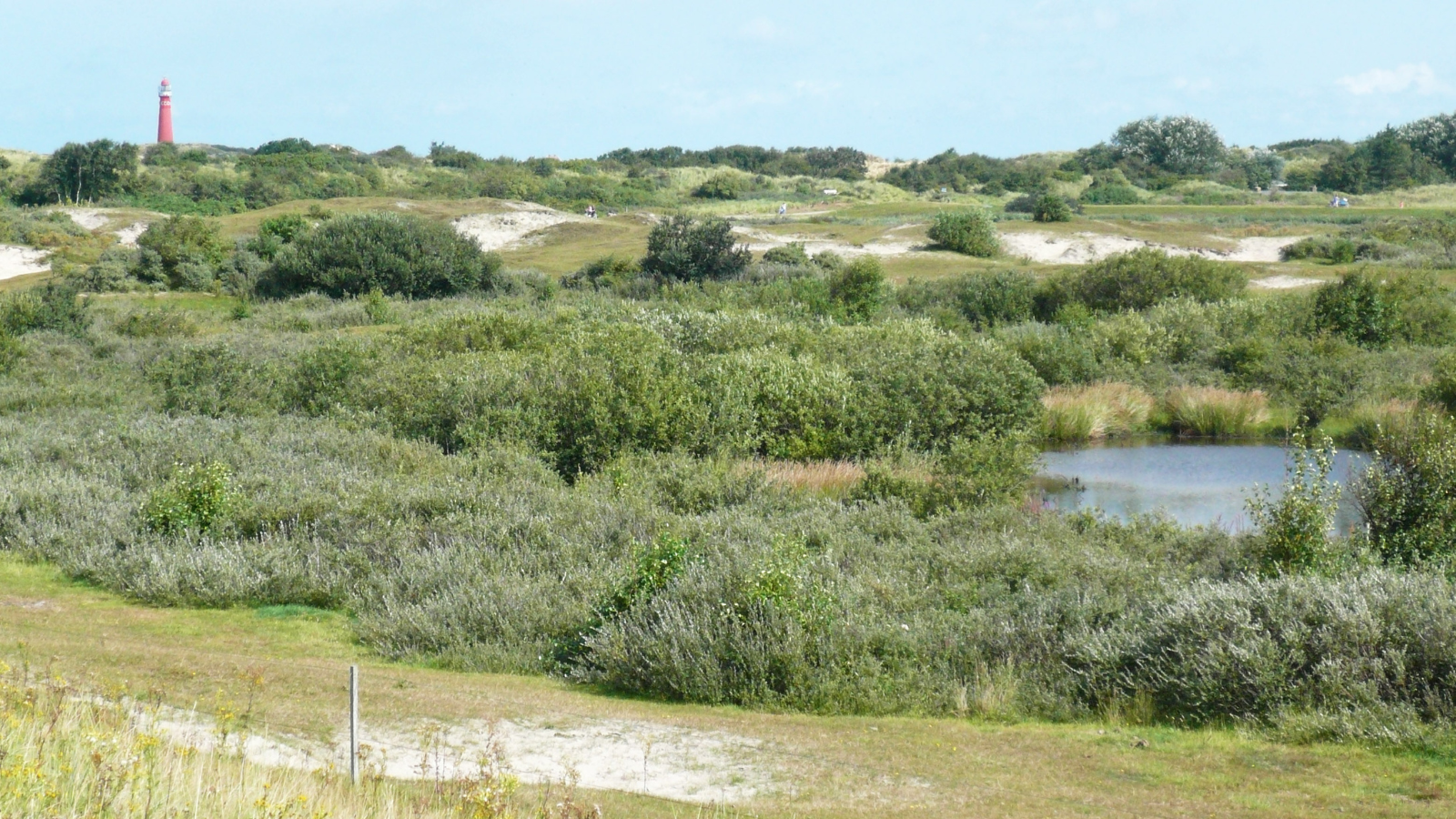 Wandelroute NP Schiermonnikoog Nationaal Park, Duin En Strand