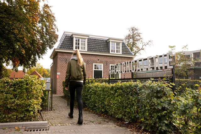 Van Gogh Wandelroutes in Brabant 5x in de voetsporen van de meesterschilder: Zundert