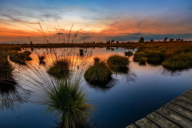 Kampina en Oisterwijkse Vennen 