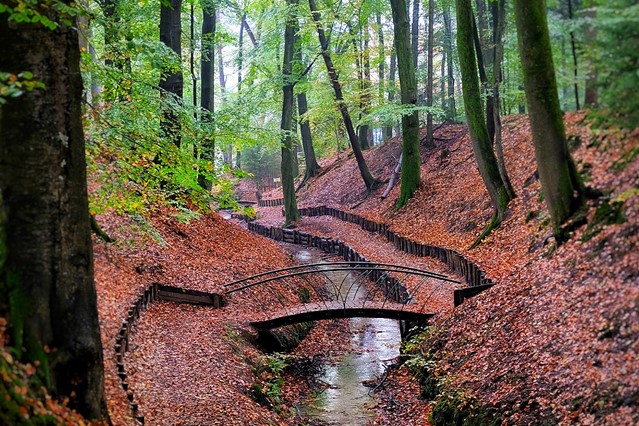afbeelding van een bos met een beekje bij Velp.