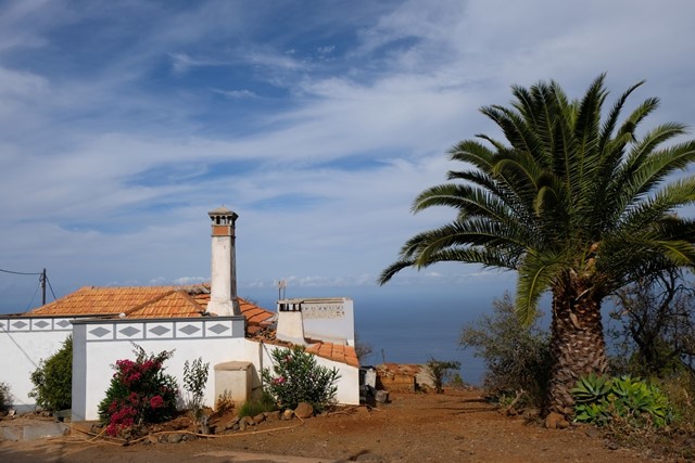 afbeelding van een huis en palmboom op Las Tricias.