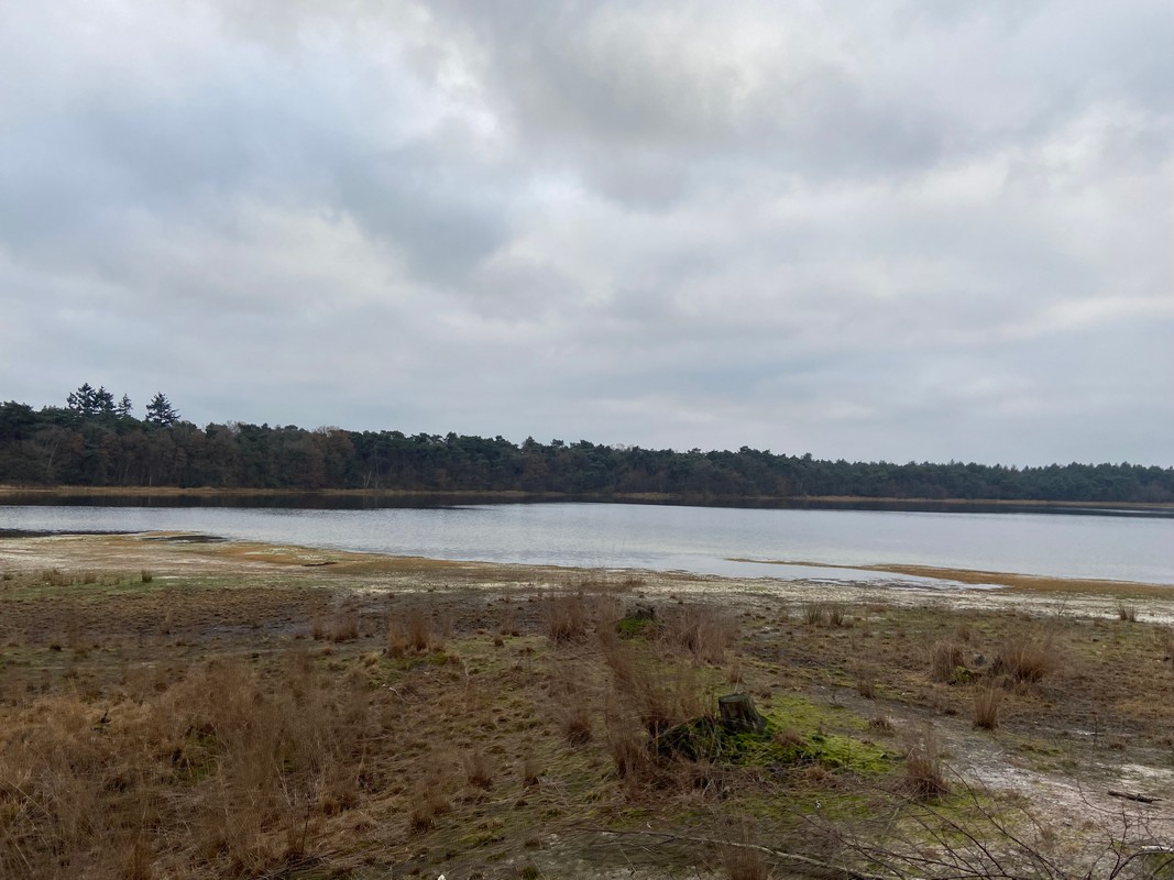 afbeelding van de uitgestrekte vennen.