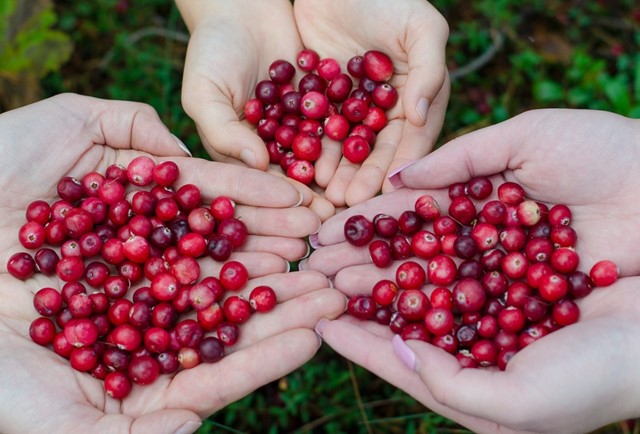 Cranberries