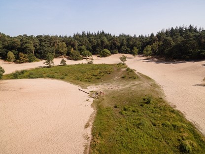RCN het Grote Bos