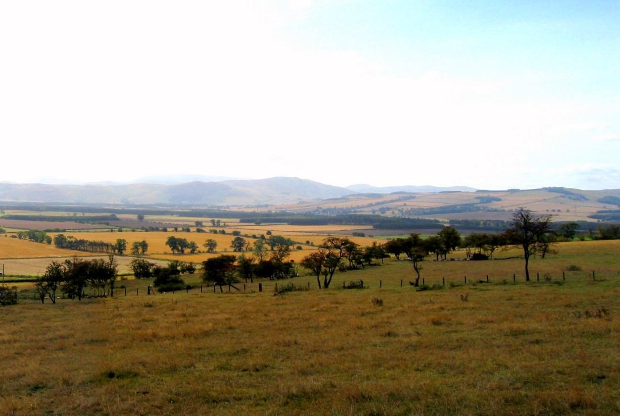 Cheviot Hills, foto: Wikimedia