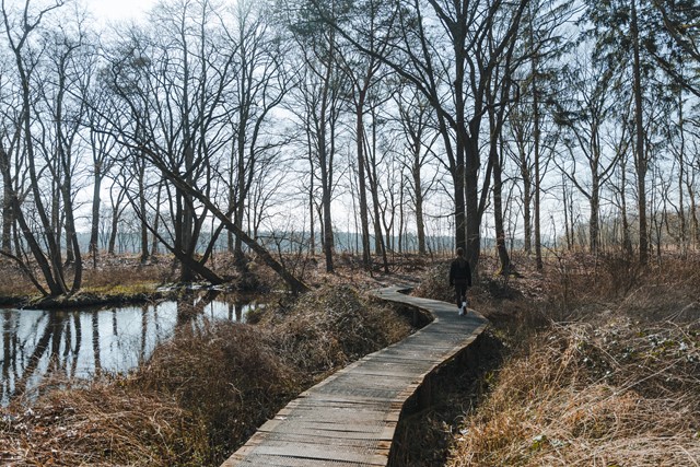 Wandelen in Hart van Limburg