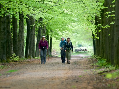 Wandelaars in de omgeving van Lochem