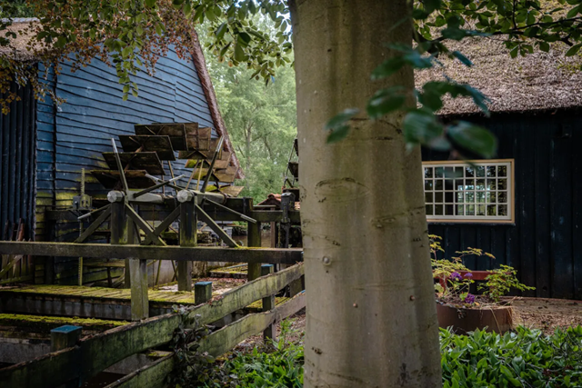 Het Dommelpad Watermolenroute Etappe 4 Eindhoven Sint Oedenrode Hooydonkse Watermolen