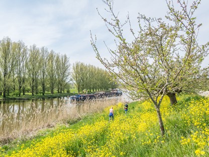 afbeelding van een kleurrijk, bloemrijk pad langs het water bij Beesd.