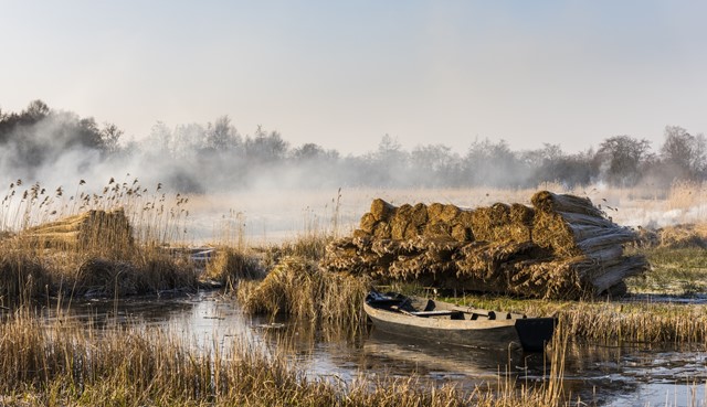 Natuurgebied De Wieden