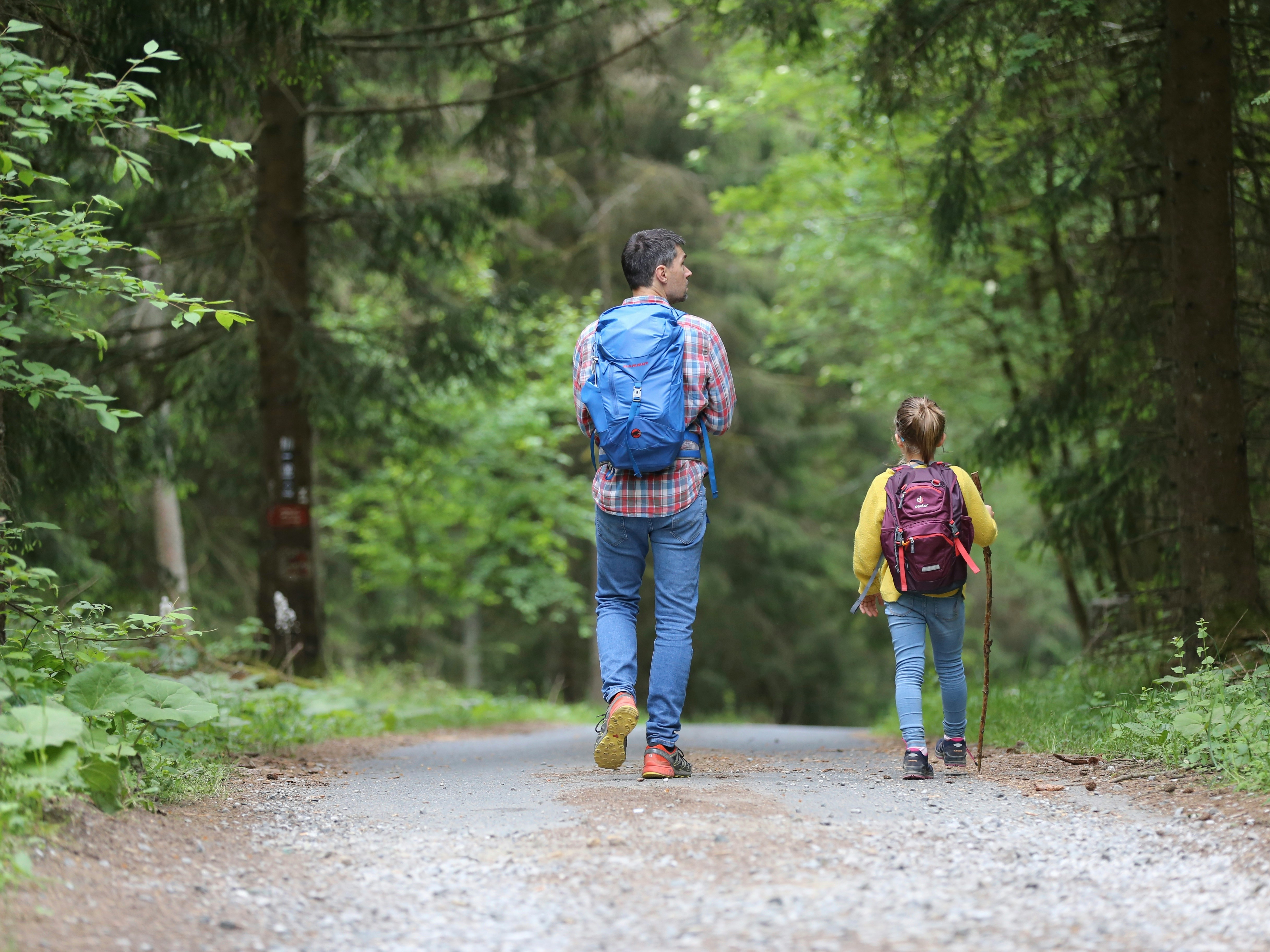 Man en kind wandelen door het bos