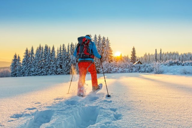 Sneeuwschoenwandeling Lapland