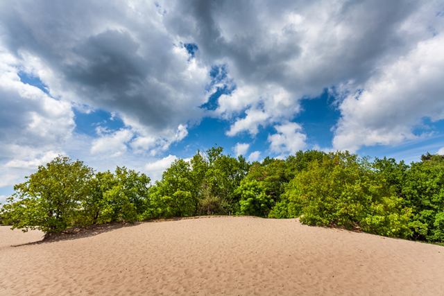 Wandelroute Soesterduinen Lange Duinen Niet Geschikt Voor Wandelwagens