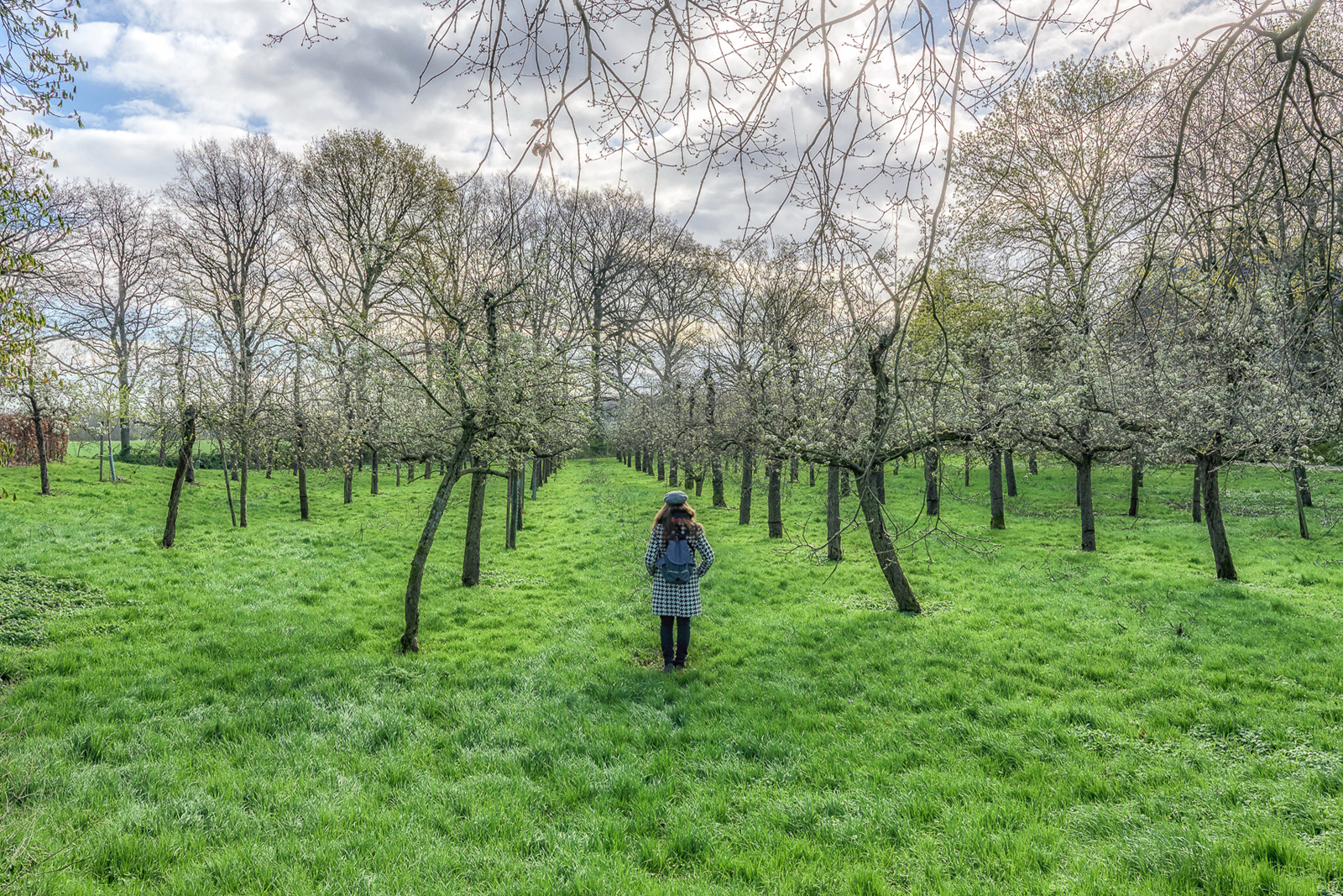 foto van een vrouw in een fruitboomgaard.